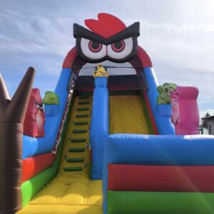 Angry Bird